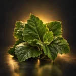 Nota Patchouli – Atlas Parfum Nota olfativa Patchouli – Atlas Parfum