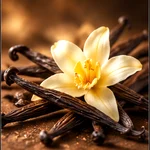 frangipani