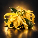 Nota Ylang-ylang – Atlas Parfum Nota olfativa Ylang-ylang – Atlas Parfum